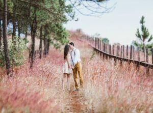 dp couple anime