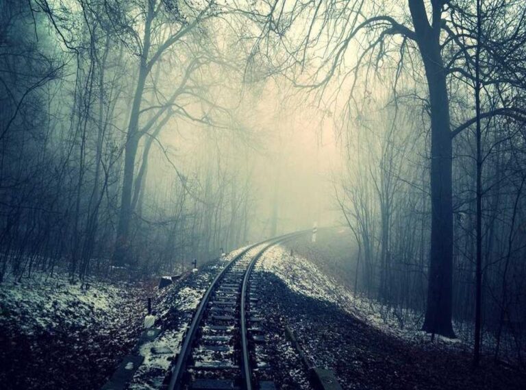 el curandero (película) reparto