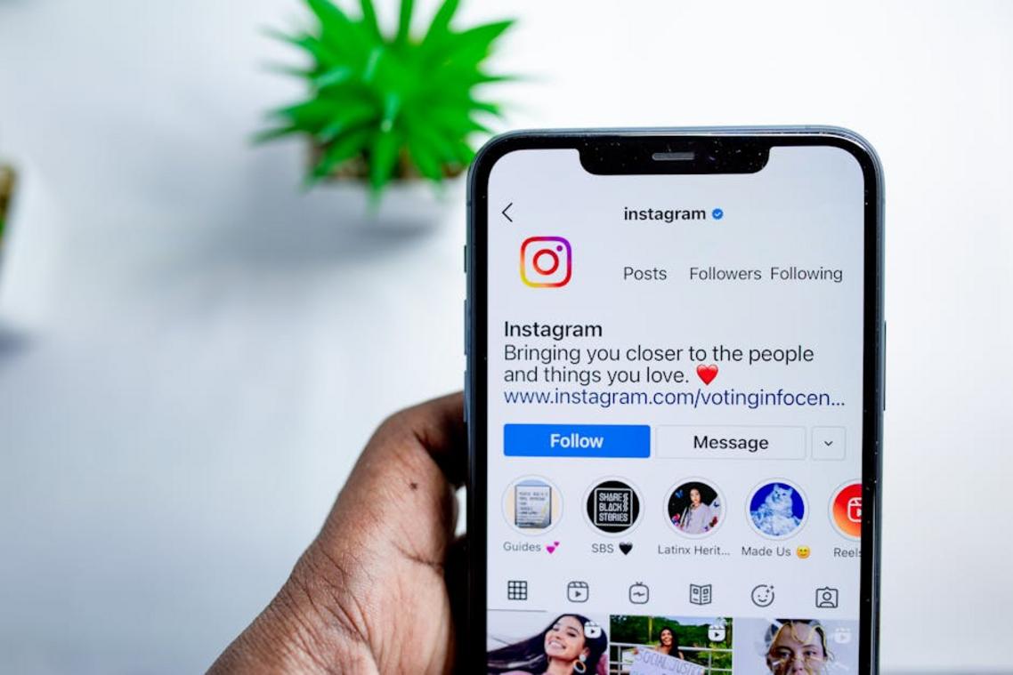 how can i have more follower on instagram eyexnews