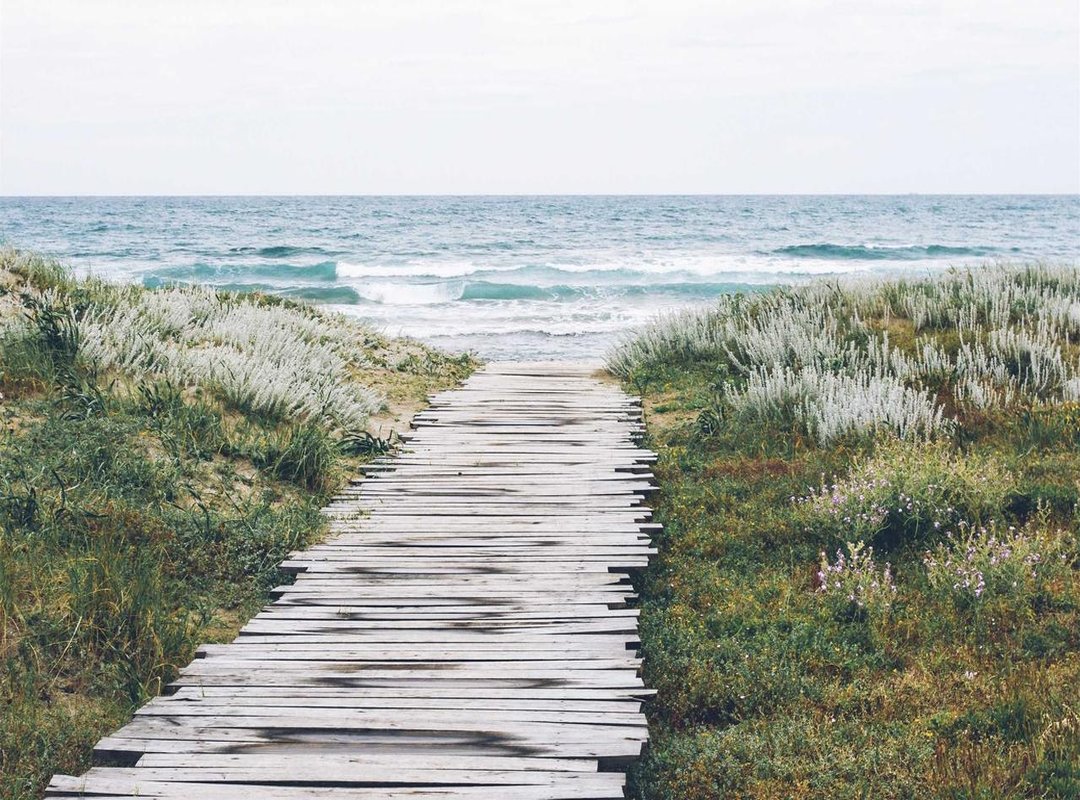 The Impact on Creators: Beyond the Financial Loss