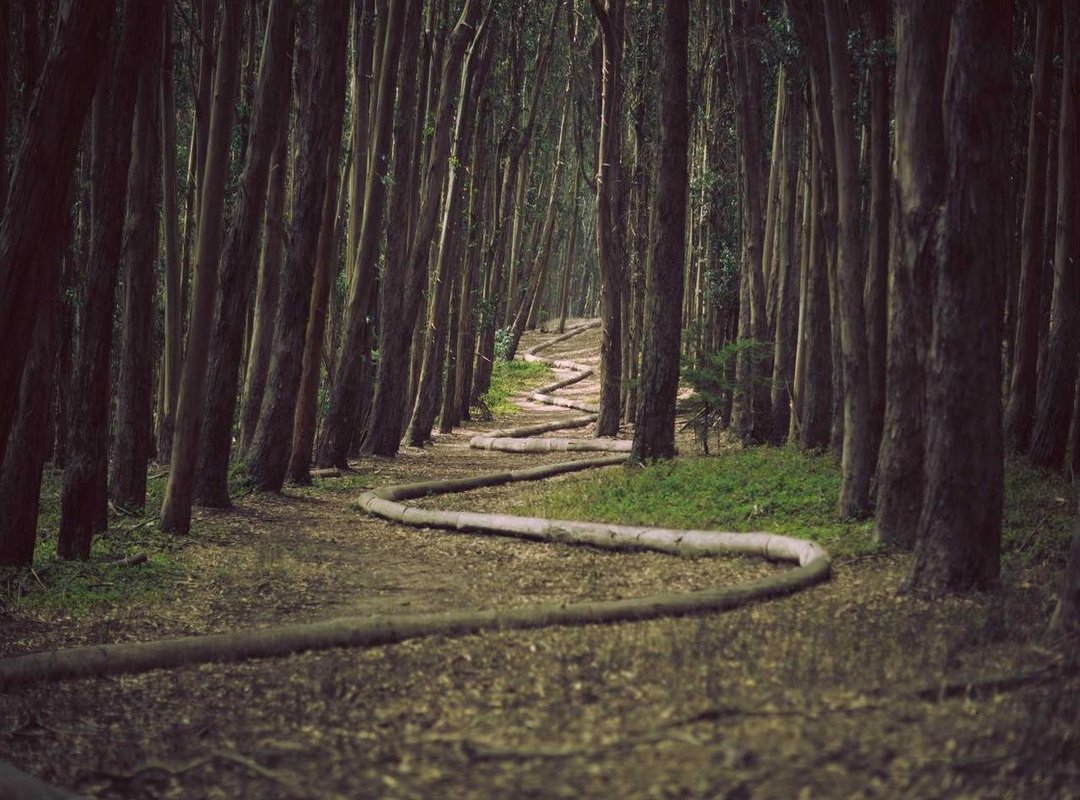 Top Picks: What to Look For in an OnlyFans Subscription