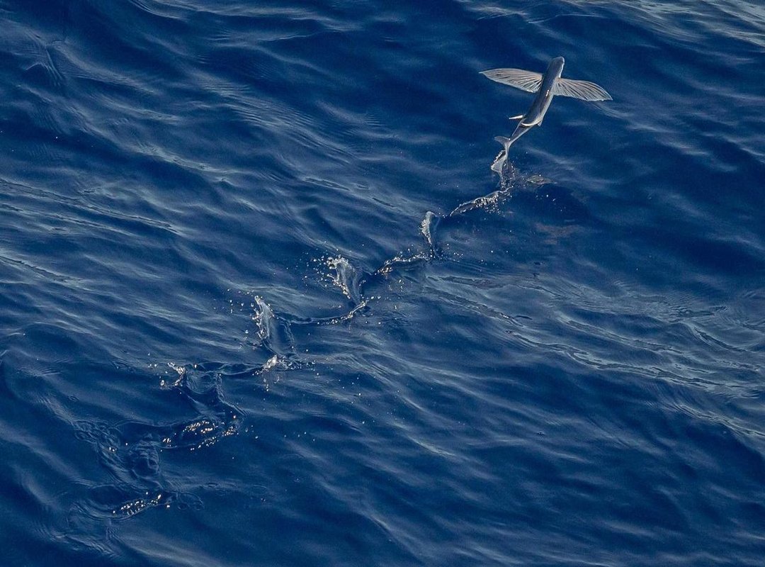 Navigating Telegram Safely: Practical Steps to Protect Yourself