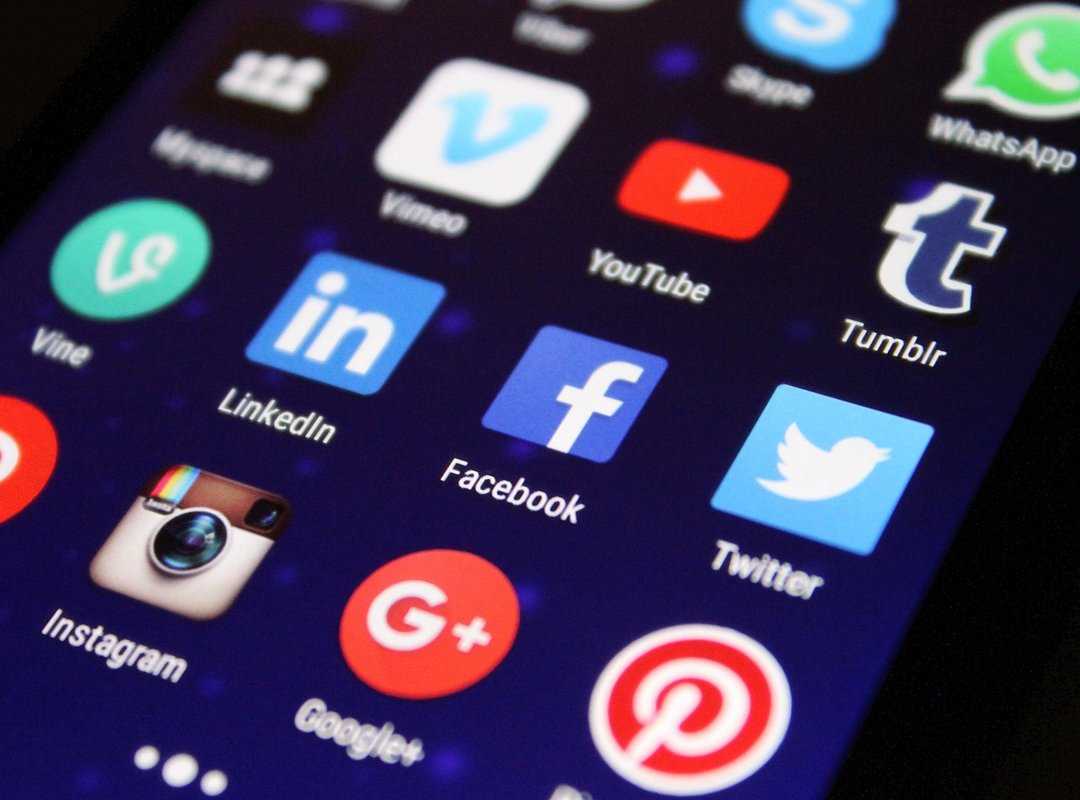 social media politics