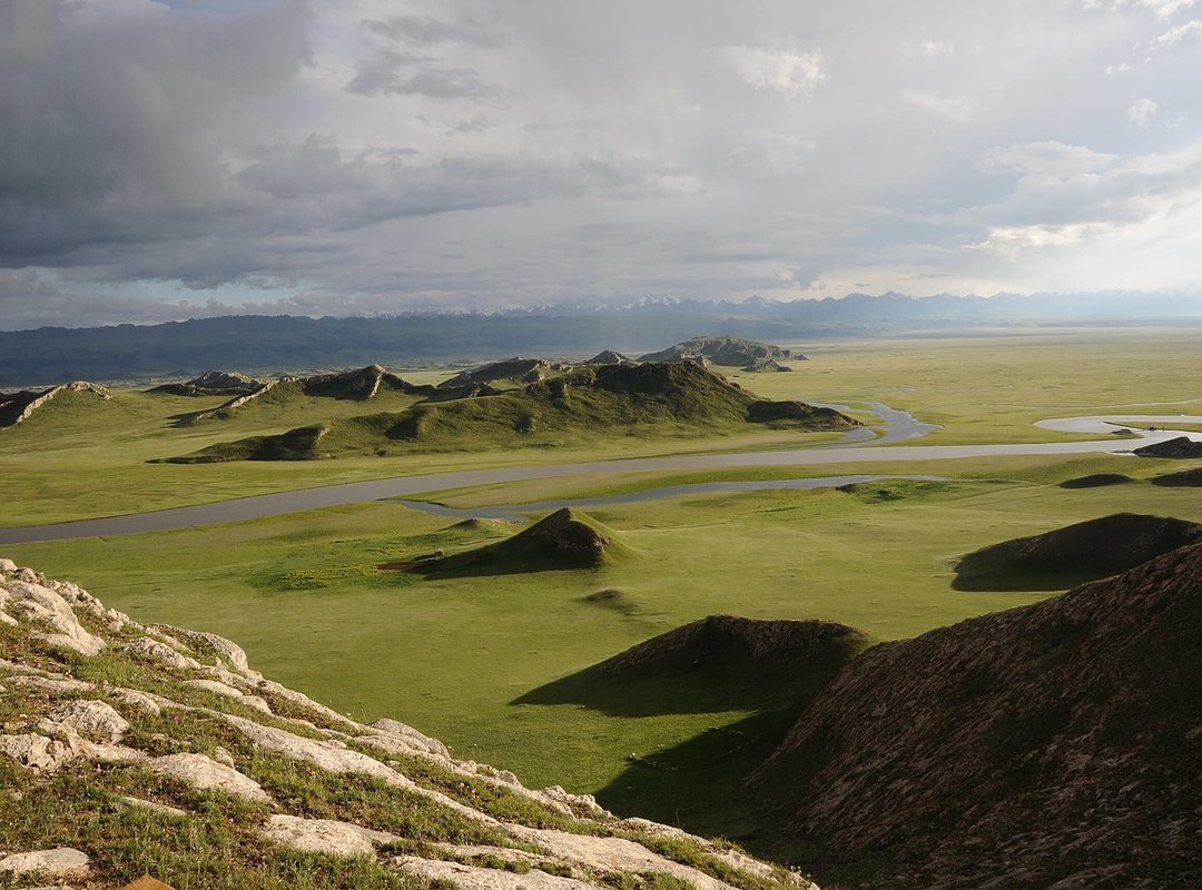 Where to Find Meaningful Palestinian Wallpapers